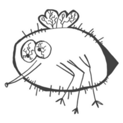 Sketch Doodle Drawing Of Mosquito Sticker