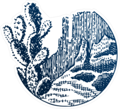 Sketch Of A Cactus Sticker