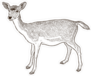 Sketch Of A Young Deer Sticker