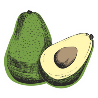 Sketch Of Avocados Sticker 