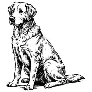 Sketch Of Lab Sitting Sticker