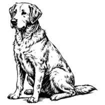 Sketch Of Lab Sitting Sticker