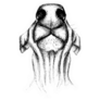 Sketch Of The Dog Nose Sticker