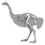 Sketch Ostrich Skeleton Sticker