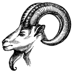 Sketch Portrait Of Ram Sticker