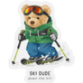 Ski Dude Teddy Bear Skiing Illustration Sticker