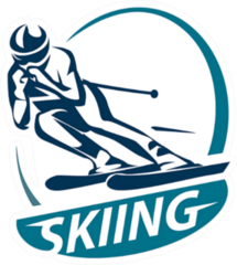 Ski Racing Sticker