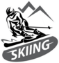 Skiing Stylized Symbol Sticker