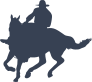 Skillful Cowboy Riding A Horse Sticker