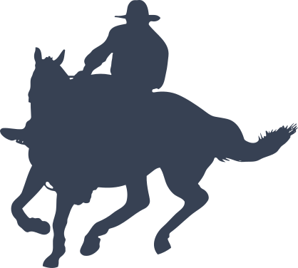 Skillful Cowboy Riding A Horse Sticker
