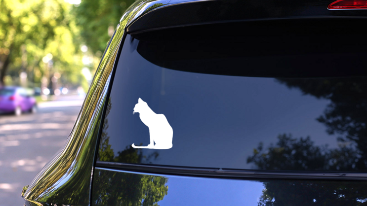 Skinny Cat Sticker on a Rear Car Window (New) example
