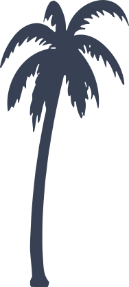 Skinny Palm Tree Sticker