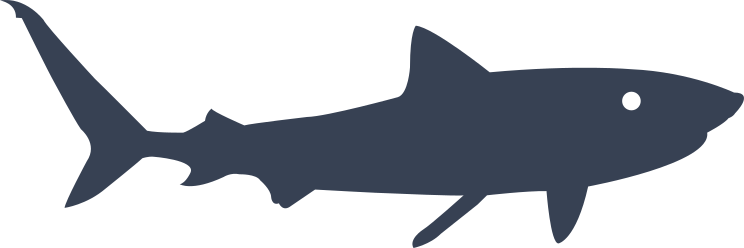 Skinny Shark Sticker