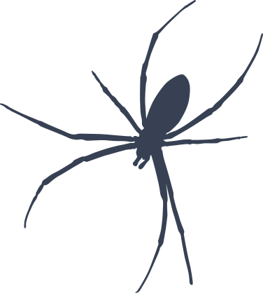Skinny Spider Sticker