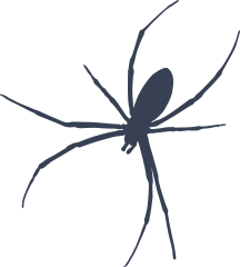 Skinny Spider Sticker