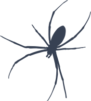 Skinny Spider Sticker