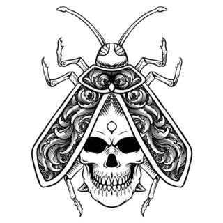 Skull Red Beetle Line Art Sticker