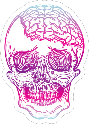 Skull with Exposed Brain Sticker
