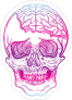 Skull with Exposed Brain Sticker