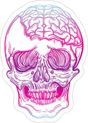Skull with Exposed Brain Sticker