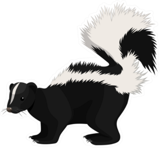 Skunk Cartoon Sticker