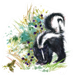 Skunk Forest Animals Watercolor Illustration Sticker