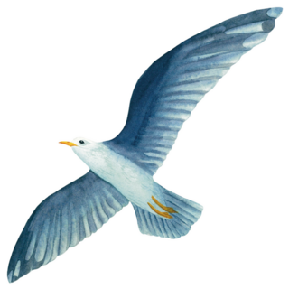 Sky Seagull Sticker