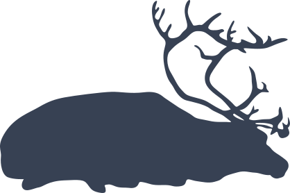 Sleeping Buck Sticker