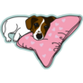 Sleeping Jack Russell Sticker