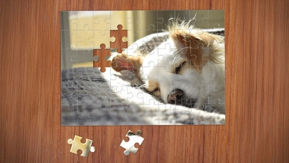 Sleeping Puppy Horizontal Rectangle 60 Piece Puzzle