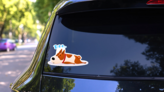 Sleeping Puppy Sticker on a Rear Car Window (New) example
