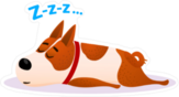 Sleeping Puppy Sticker