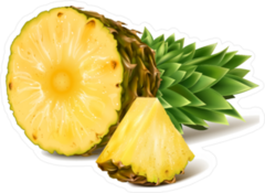 Sliced Tropical Pineapple Sticker