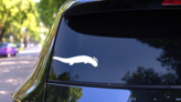 Slithery Dinosaur Sticker on a Rear Car Window (New) example