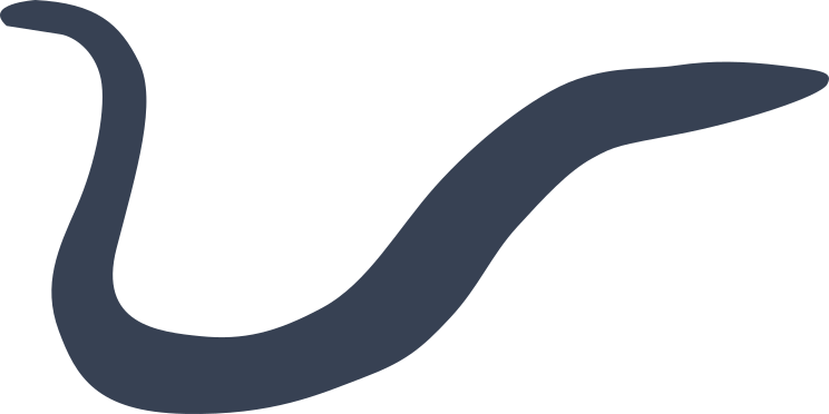 Slithery Eel Sticker