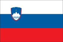 Slovenia Flag Sticker