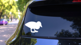 Small Duckling Duck Sticker on a Rear Car Window (New) example
