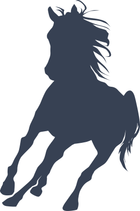 Small Horse Running Sticker