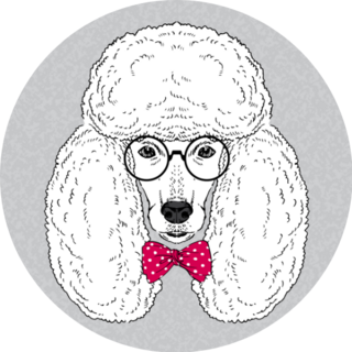Smart, Fashion Portrait Of Poodle Sticker