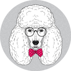 Smart, Fashion Portrait Of Poodle Sticker