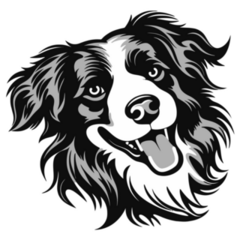 Smiling Border Collie Sticker