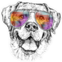Smiling Dog in Colorful Sunglasses Sticker