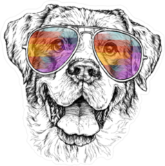 Smiling Dog in Colorful Sunglasses Sticker