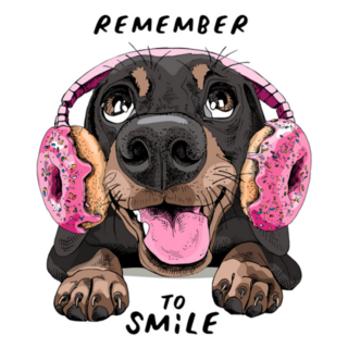 Smiling Funny Dachshund Dog In Donut Headphones Sticker
