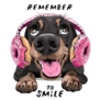Smiling Funny Dachshund Dog In Donut Headphones Sticker