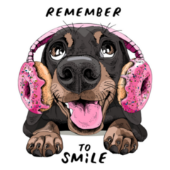 Smiling Funny Dachshund Dog In Donut Headphones Sticker