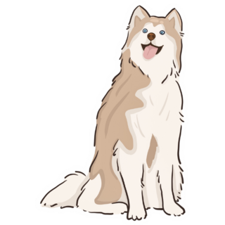 Smiling Husky Sticker