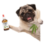 Smiling Pug Dog Holding Up Bottle Of Cbd Sticker