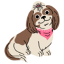 Smiling Shih Tzu Sticker