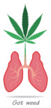 Smoking Marijuana Is Good For The Lungs, Got Weed Sticker